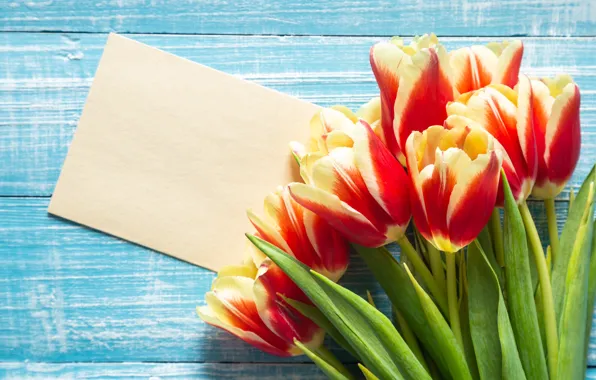 Flowers, paper, bright, Board, bouquet, spring, tulips, red