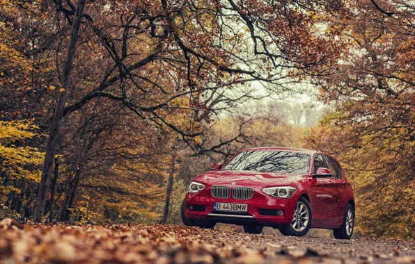 Picture autumn, BMW, BMW, red, F20, 118D