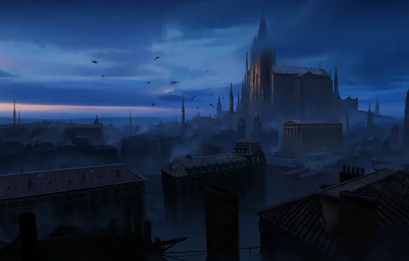Birds, night, the city, home, Castle