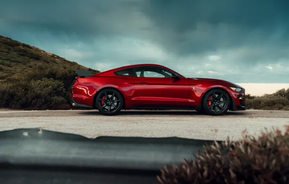 Picture Mustang, Ford, Shelby, GT500, profile, bloody, 2019