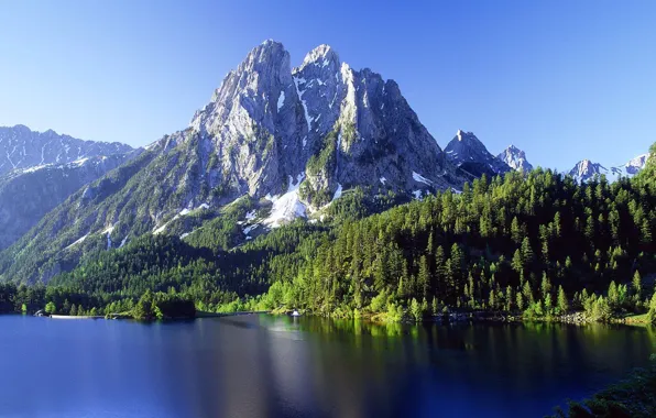 Forest, nature, mountain lake