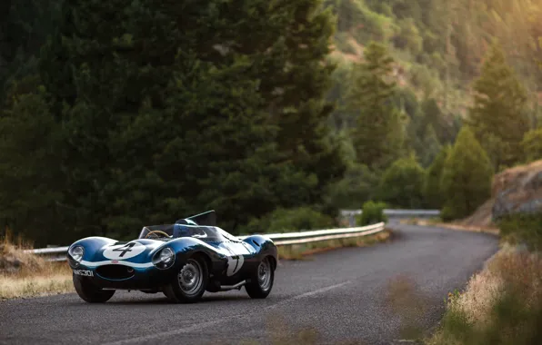 Road, Race Car, Forest, Jaguar D-Type