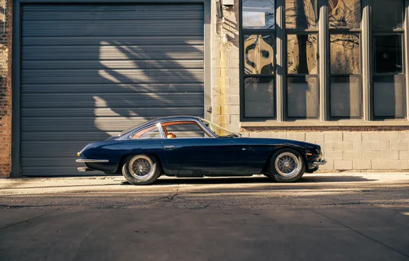 Picture Lamborghini, vintage, 1965, 350 GT, Lamborghini 350 GT