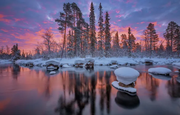 Winter, forest, snow, trees, river, dawn, morning, Russia