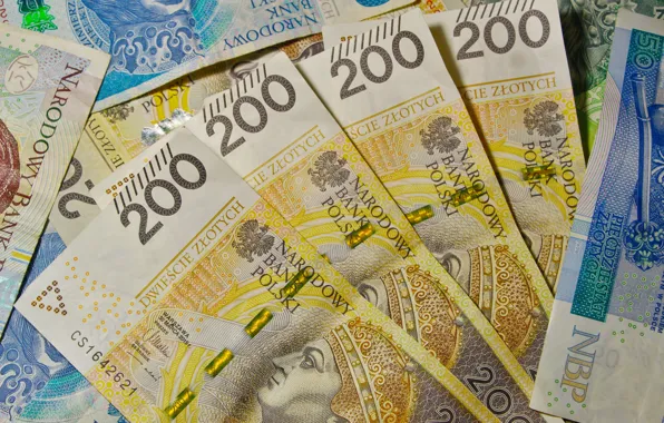 Download wallpaper money, wealth, bank note, section macro in