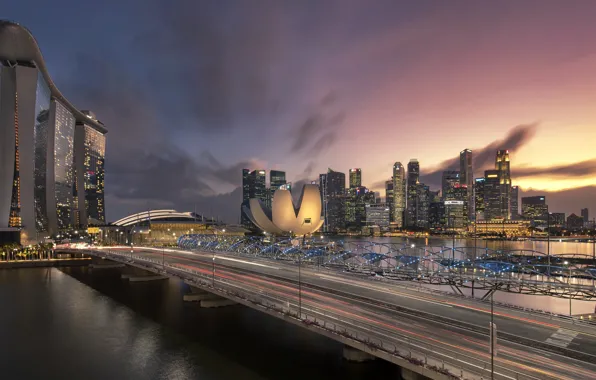 Picture lights, lights, skyscrapers, Singapore, architecture, megapolis, blue, night