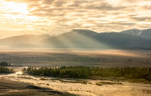 Field, light, mountains, fog, morning, valley