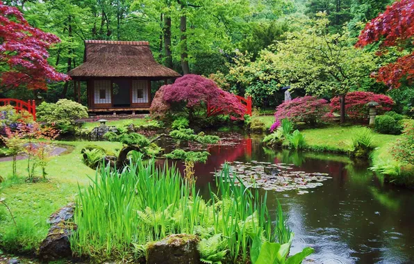 Trees, flowers, nature, pond, Park, plants, garden, hut