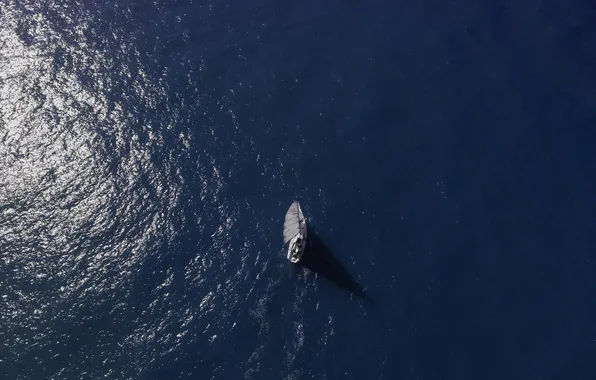 Reflection, the way, movement, the ocean, boat, depth, sails, sunlight