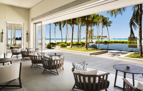 Palm trees, Villa, pool, restaurant, terrace, tables, area, by the ocean