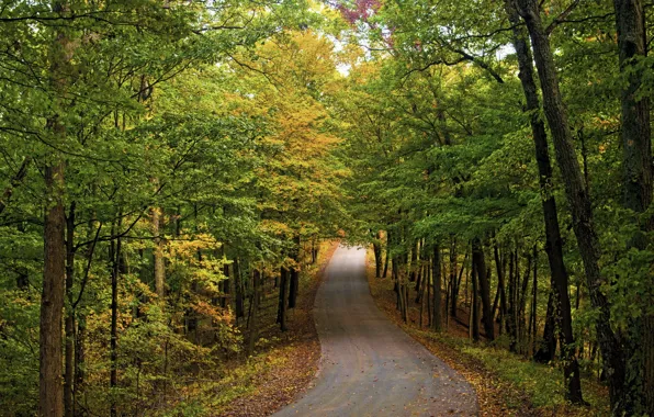 Nature, autumn, roads
