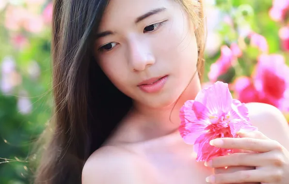 Flower, summer, girl, face, hair, Asian