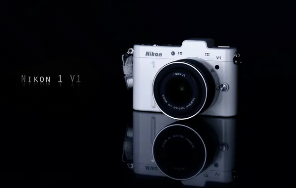 Macro, background, camera