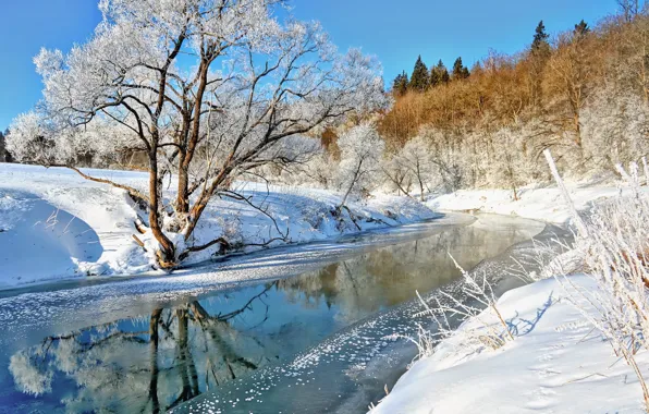 Picture snow, landscape, river