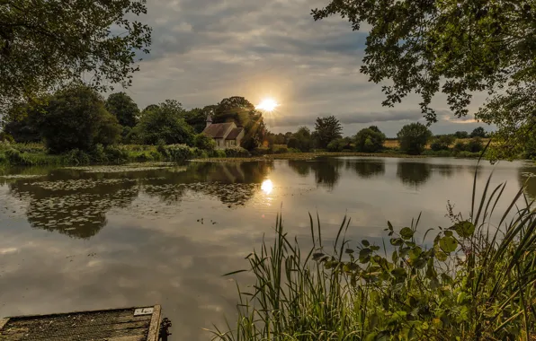 Trees, sunset, river, England