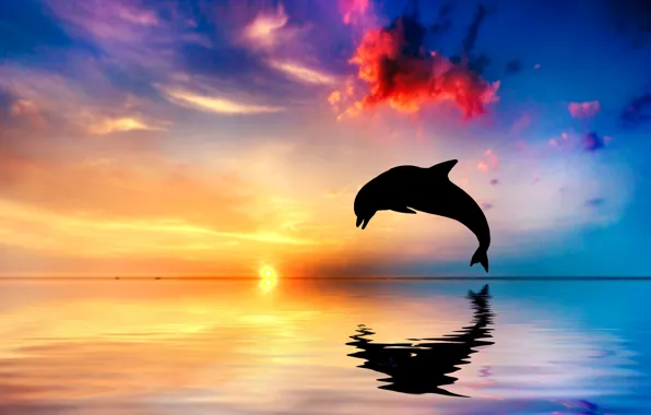 Sunset, Dolphin, reflection, the ocean, jump, silhouette