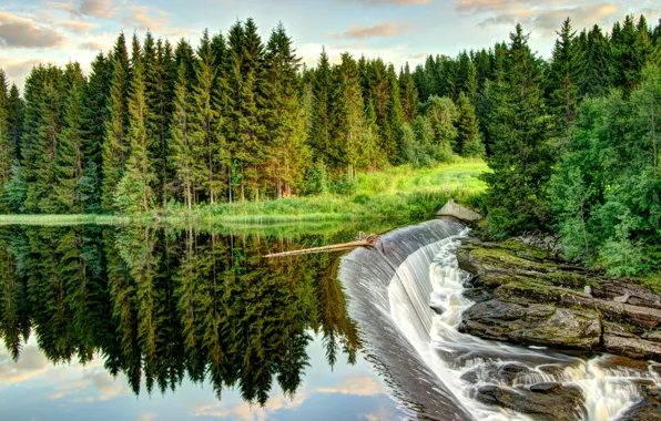 Picture forest, the sky, clouds, trees, river, stones, waterfall, thresholds