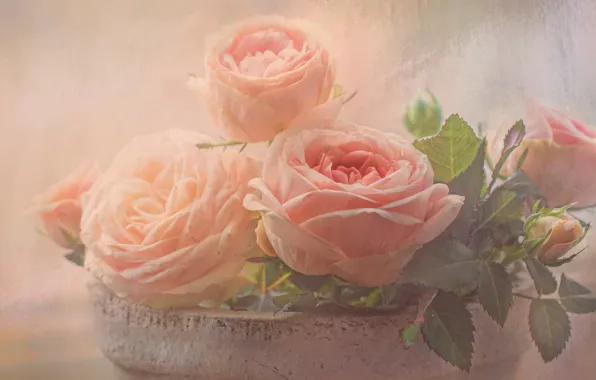 Leaves, flowers, background, roses, bouquet, light, petals, art