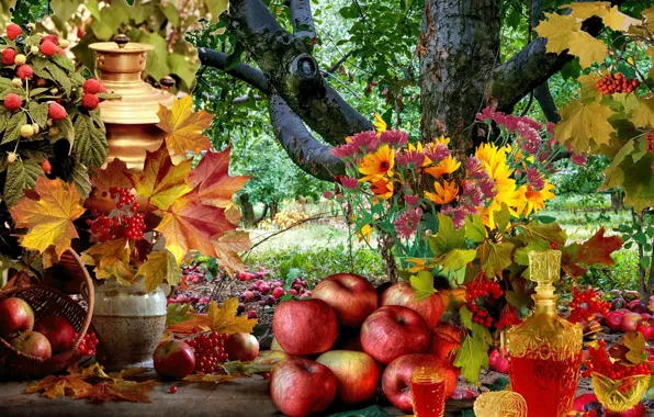 Garden, still life, Apples