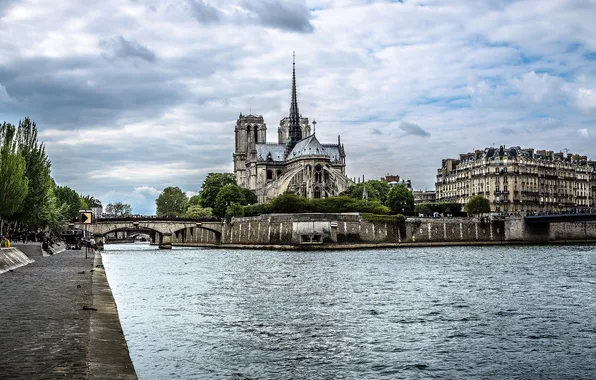 Picture landscape, river, France, Paris, Hay, Notre Dame Cathedral, the Ile de La Cité