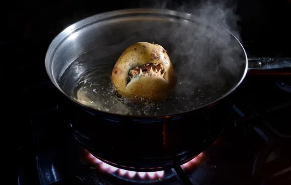 Food, teeth, burner, mouth, gas, pan, potatoes, alive