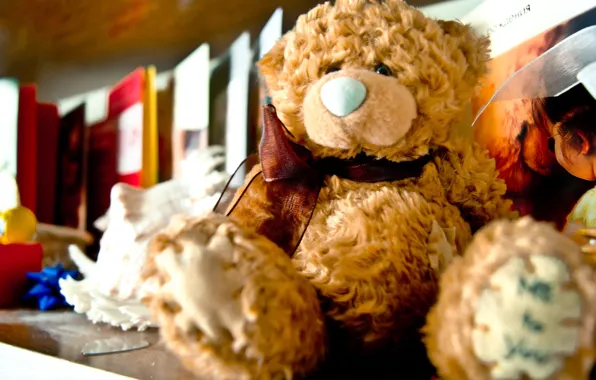 Toy, bear, shelf, plush