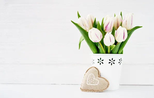 Background, holiday, bouquet, tulips, Valentine's day, pots