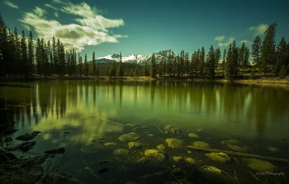 Trees, mountains, nature, lake