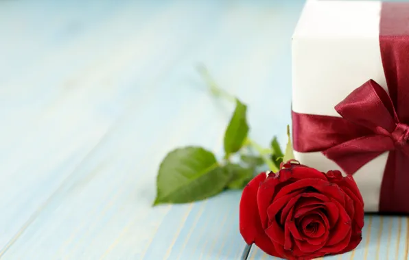 Flowers, red, gift, roses, bouquet, red, love, flowers