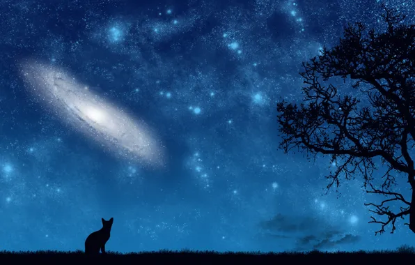 Cat, space, night, tree, vector, art, galaxy, eternity