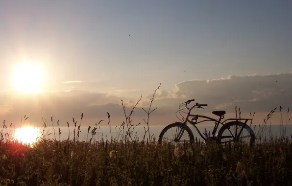Picture grass, the sun, bike