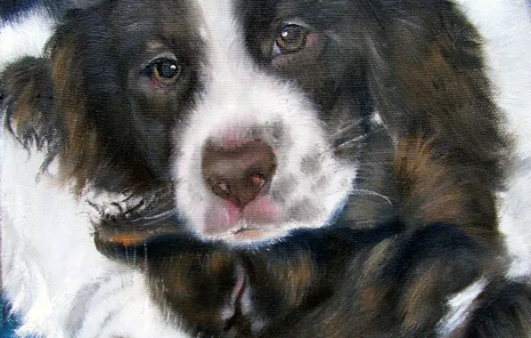 Dogs, look, pose, oil, portrait, dog, pair, painting