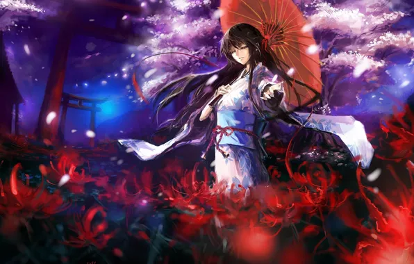 Girl, flowers, night, umbrella, tree, petals, Sakura, kimono