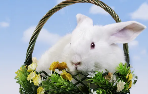Flowers, basket, rabbit, Easter, Easter