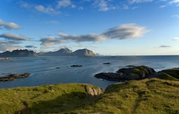 Picture sea, the sky, the sun, rocks, shore, weed