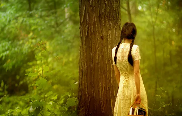 Picture leaves, girl, trees, nature, background, Wallpaper, mood, books