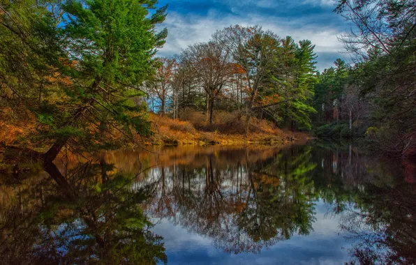 Autumn, forest, the sky, clouds, trees, river