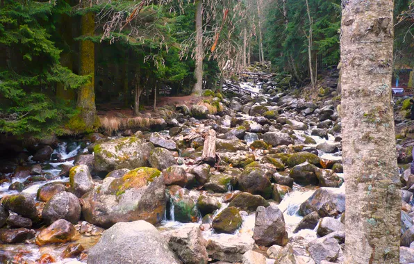 Autumn, forest, river, stones, stream, Russia, the Caucasus, KCR