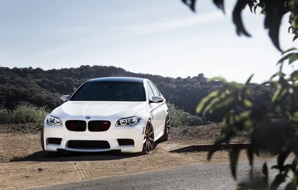 White, leaves, bmw, BMW, white, front view, f10