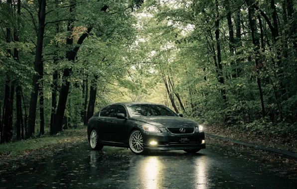 Picture road, summer, rain, Lexus
