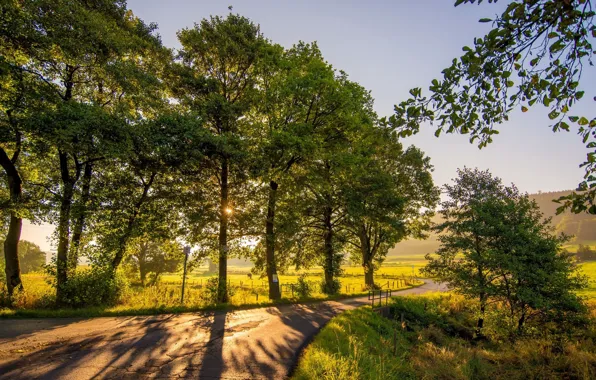 Road, landscape, nature, Park, beauty