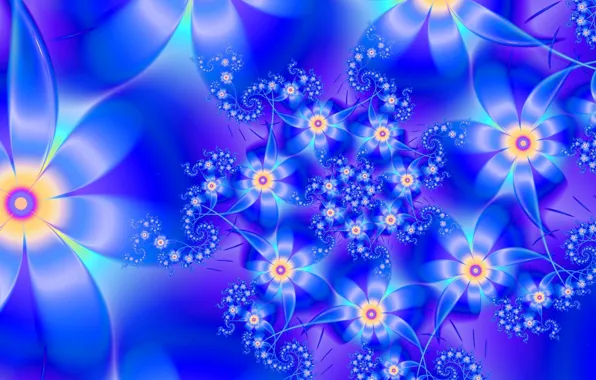 Picture flower, line, pattern, fractal
