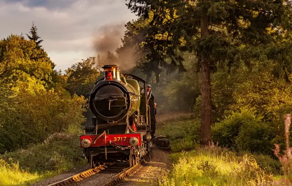 Forest, trees, England, rails, the engine, railroad