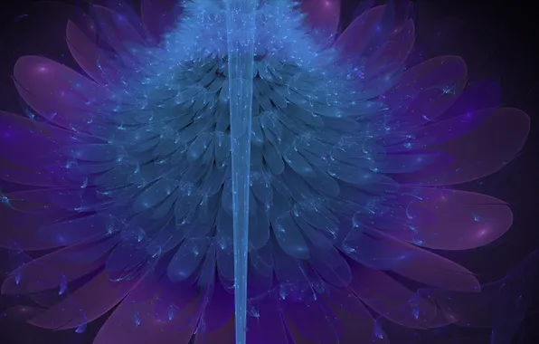 Flowers, blue, abstraction, petals