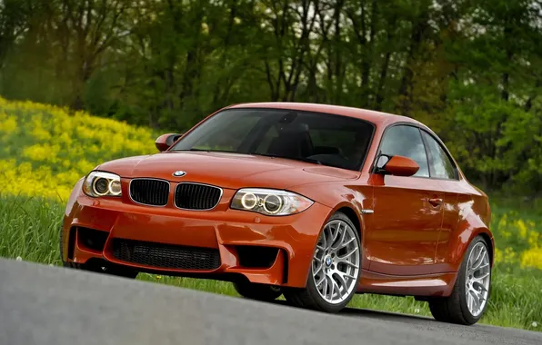 Picture foreground, bmw, BMW, picture, 2011, e82, orange.machine, mcoupe