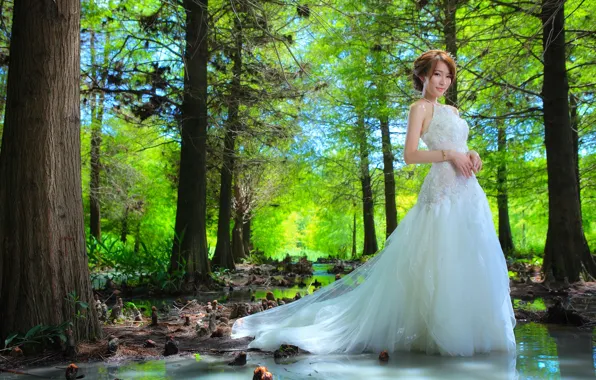 Picture forest, water, girl, trees, dress, Asian, the bride