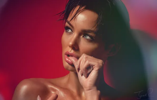 Look, face, background, hands, shoulders, Rosie Robinson, Jack Russell