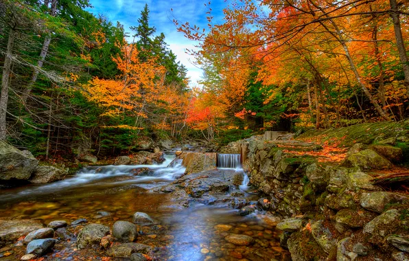 Picture autumn, forest, the sky, trees, river, stones, stream, cascade