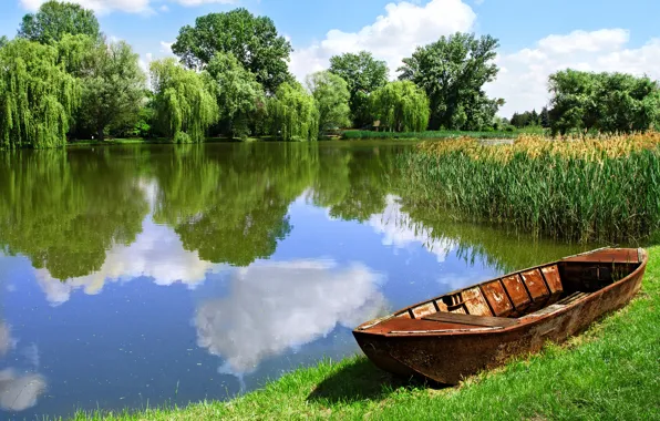 Picture forest, field, lake, beautiful landscape, boat