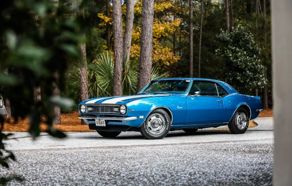 Picture Chevrolet, Camaro, Classic, Blue, 1968, z28